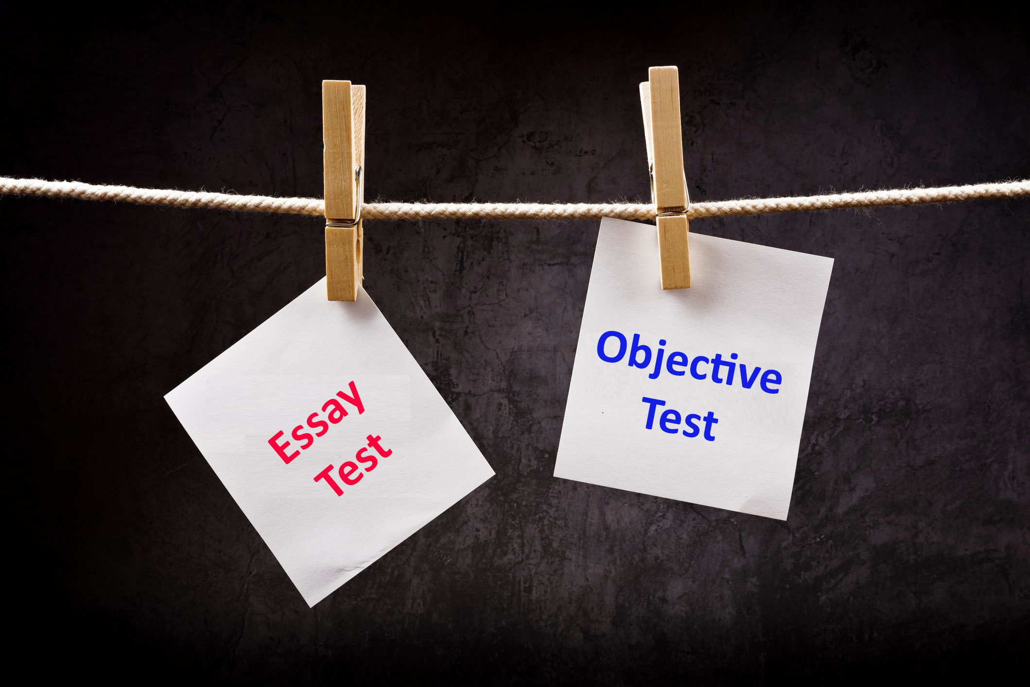 identify the main characteristics of essay and objective test