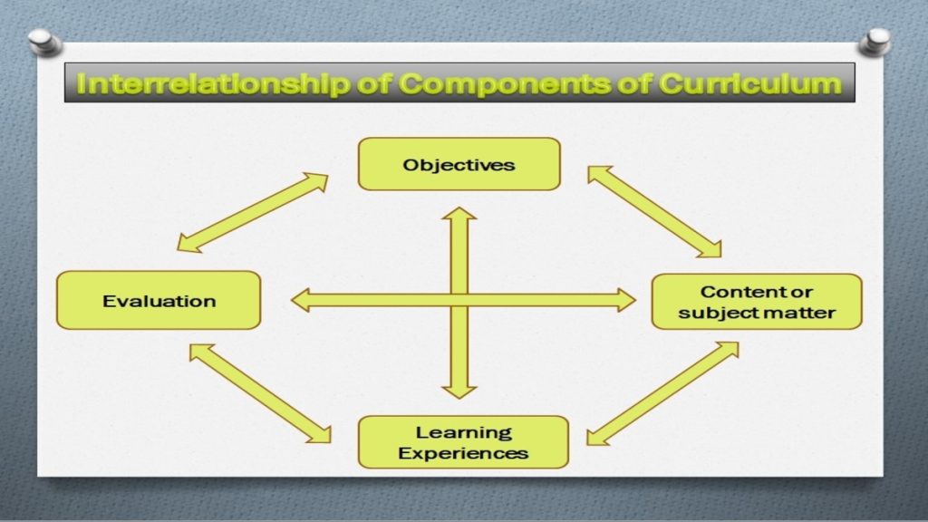 Elements Of Curriculum Educare We Educate We Care 