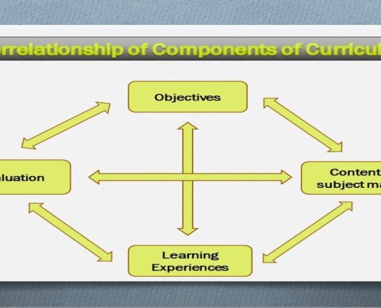 Components of Curriculum