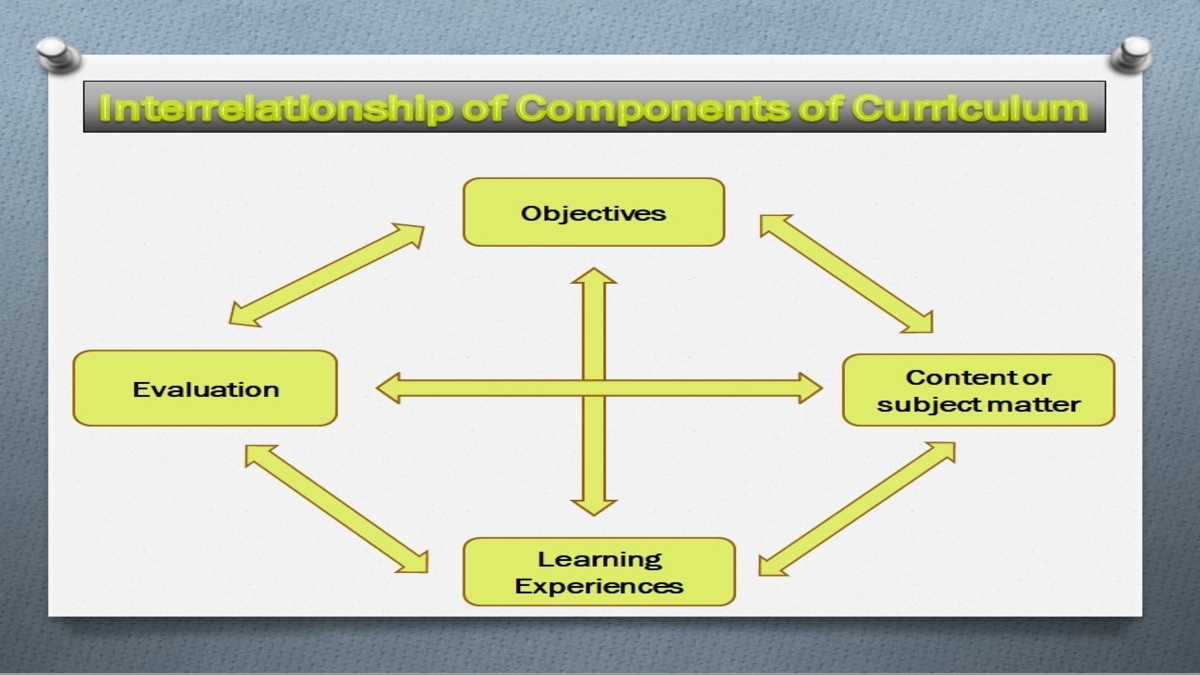 elements of curriculum design