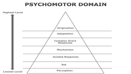 Simpson's Psychomotor Domain