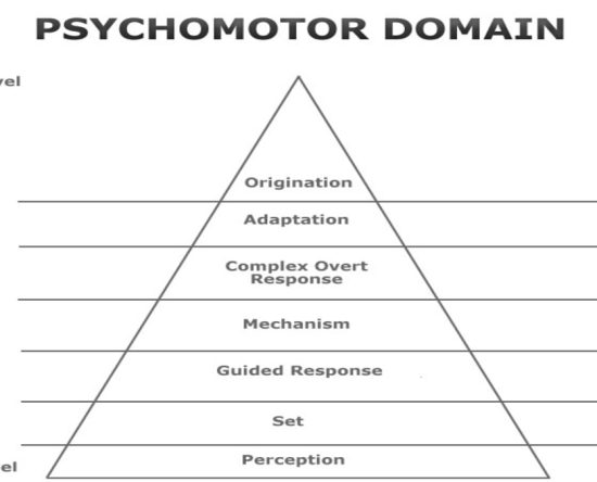 Simpson's Psychomotor Domain