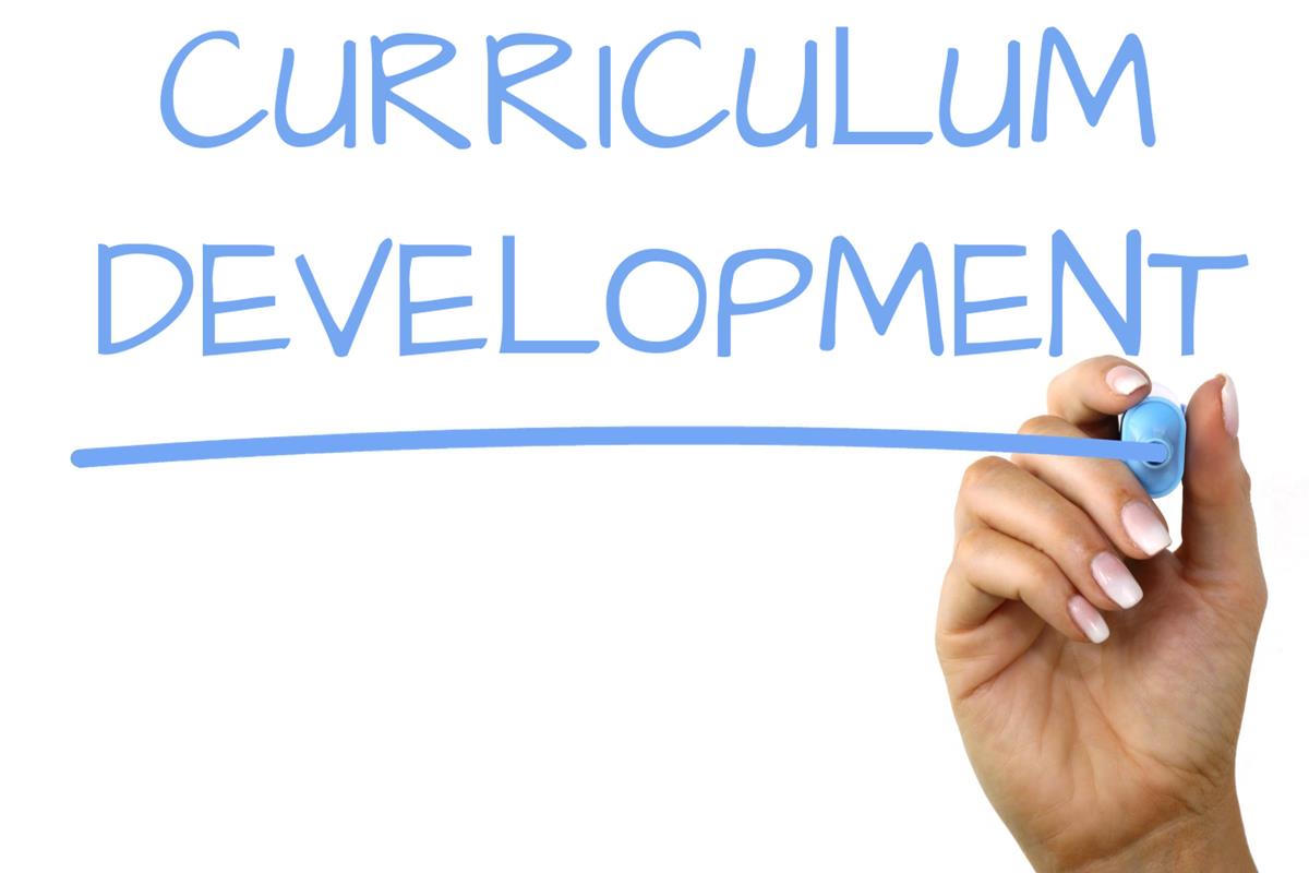 What Are The 4 Phases Of The Curriculum Development Process